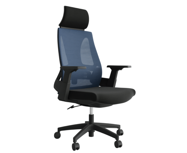 Lama Orthopedic Office Chair- Navy/Black