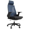 Lama Orthopedic Office Chair- Navy/Black