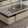 COFFEE TABLE (92245)