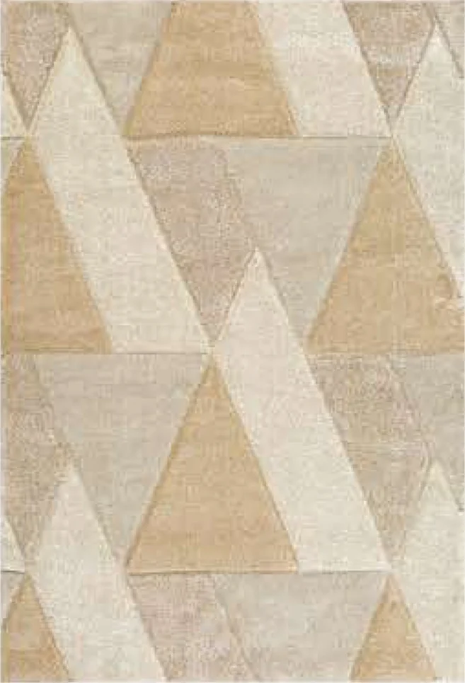 CARMONA MACHINE MADE CARPET-200X285 (49090/YT5-J)