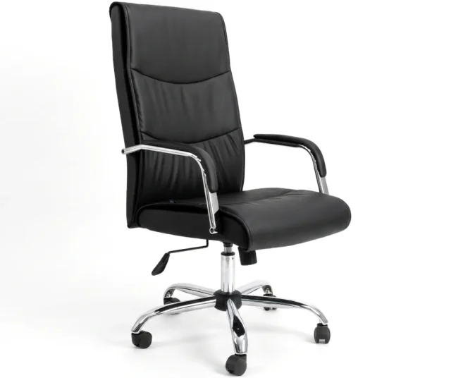NILE EXECUTIVE OFFICE CHAIR