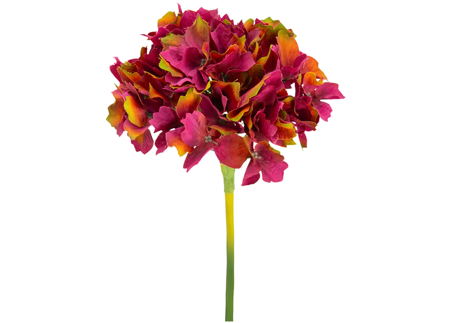 14" HYDRANGEA-FUCIA (58148-FUCH)
