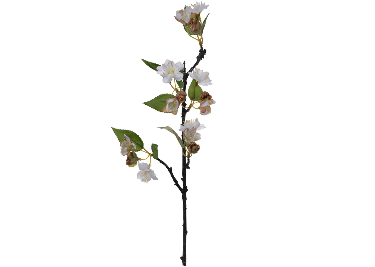 APPLE BLOSSOM (F29355-CREA)