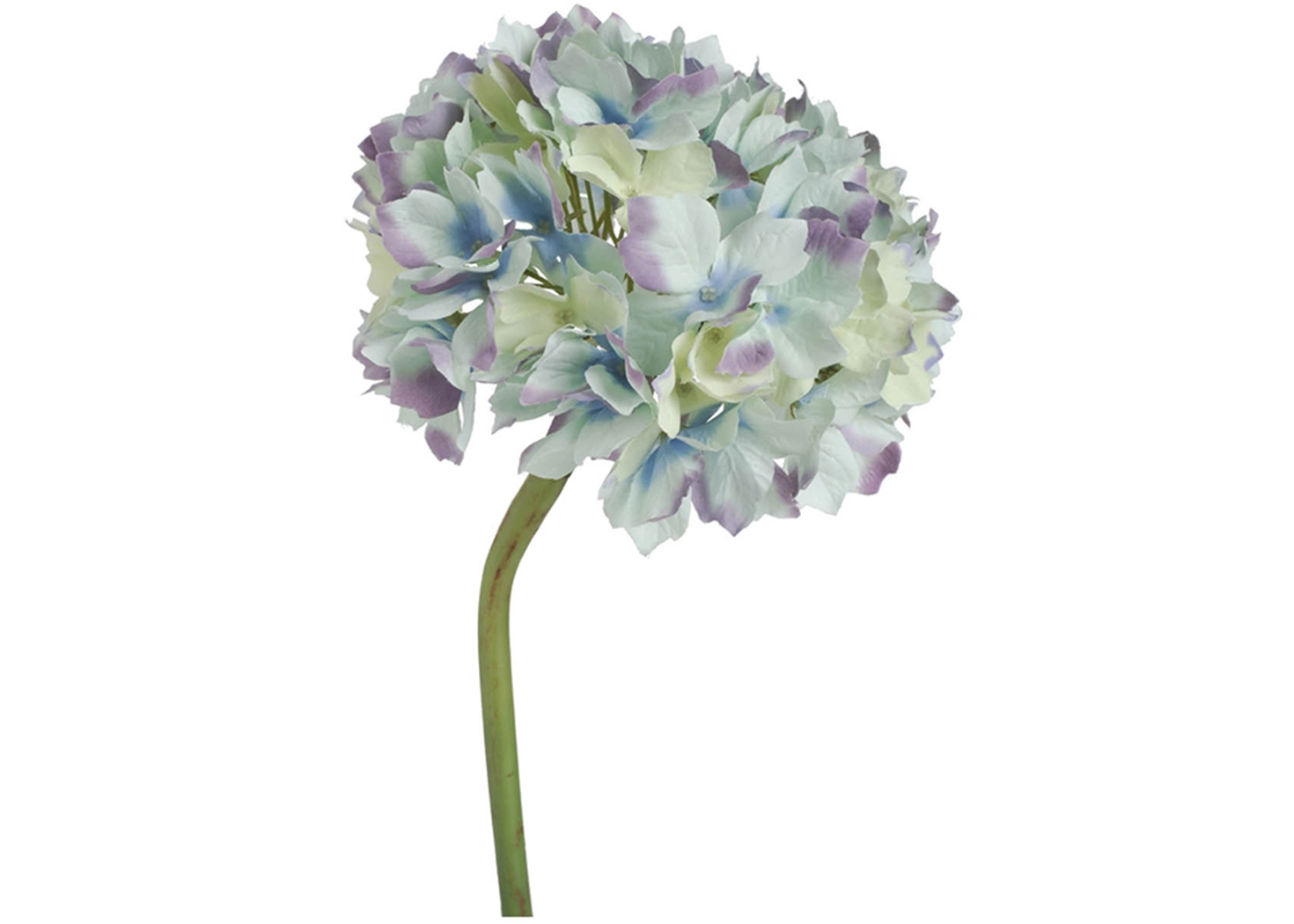 BLUE TINGED HYDRANGEA (58148-BLUE)