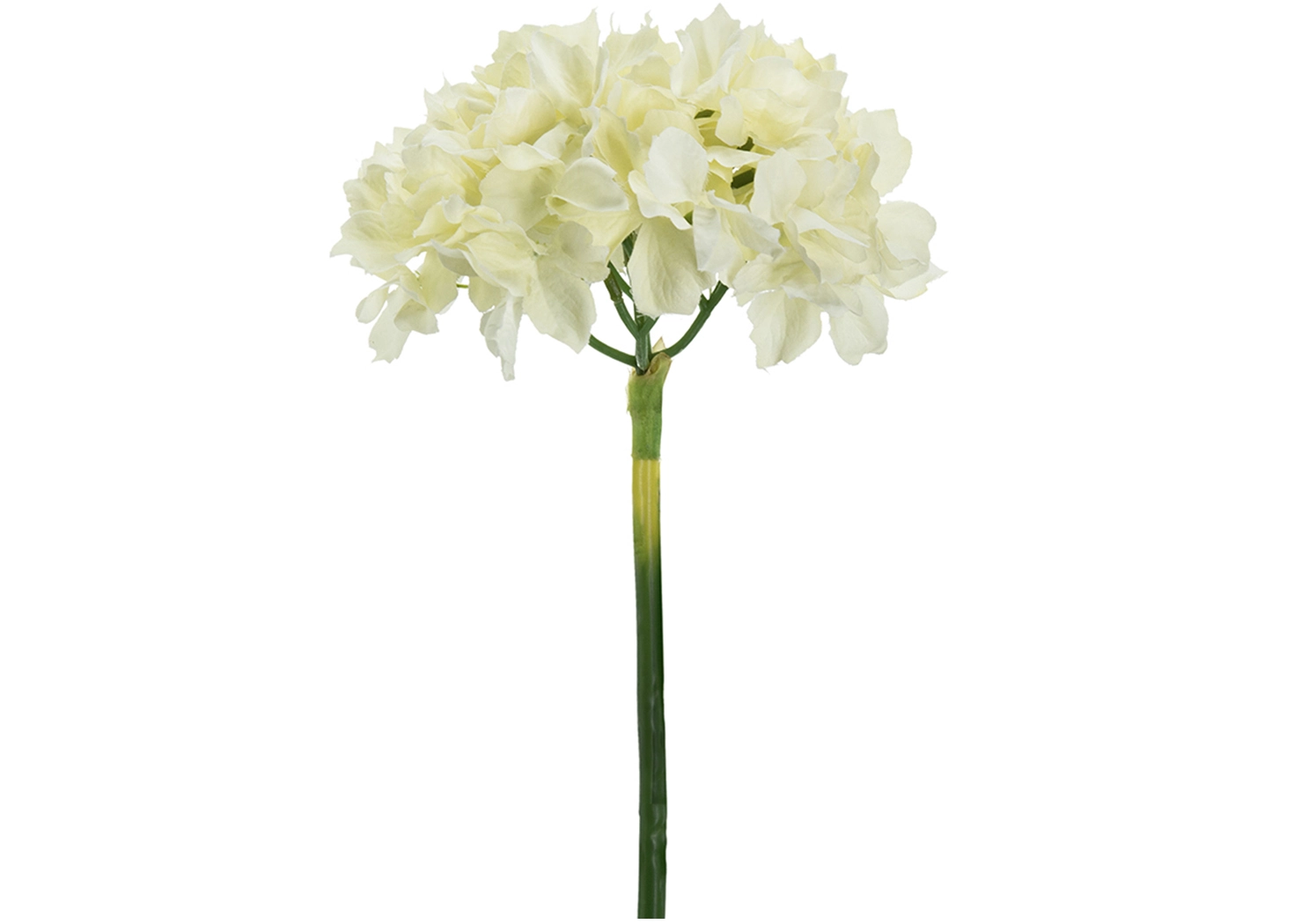 CREAM HYDRANGEA (58148-CREA)