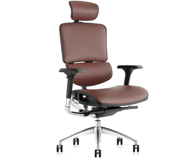 D-XTRA ERGONOMIC OFFICE CHAIR-BROWN