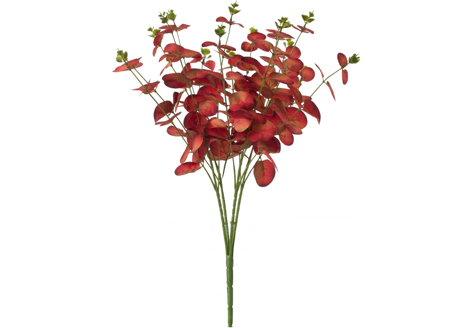 EUCALYPTUS (F4691-RED)