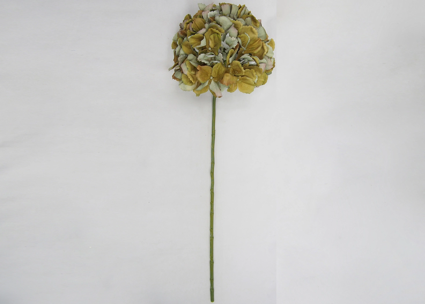 HYDRANGEA STEM- SEASON GREEN (PHDFLW22004)
