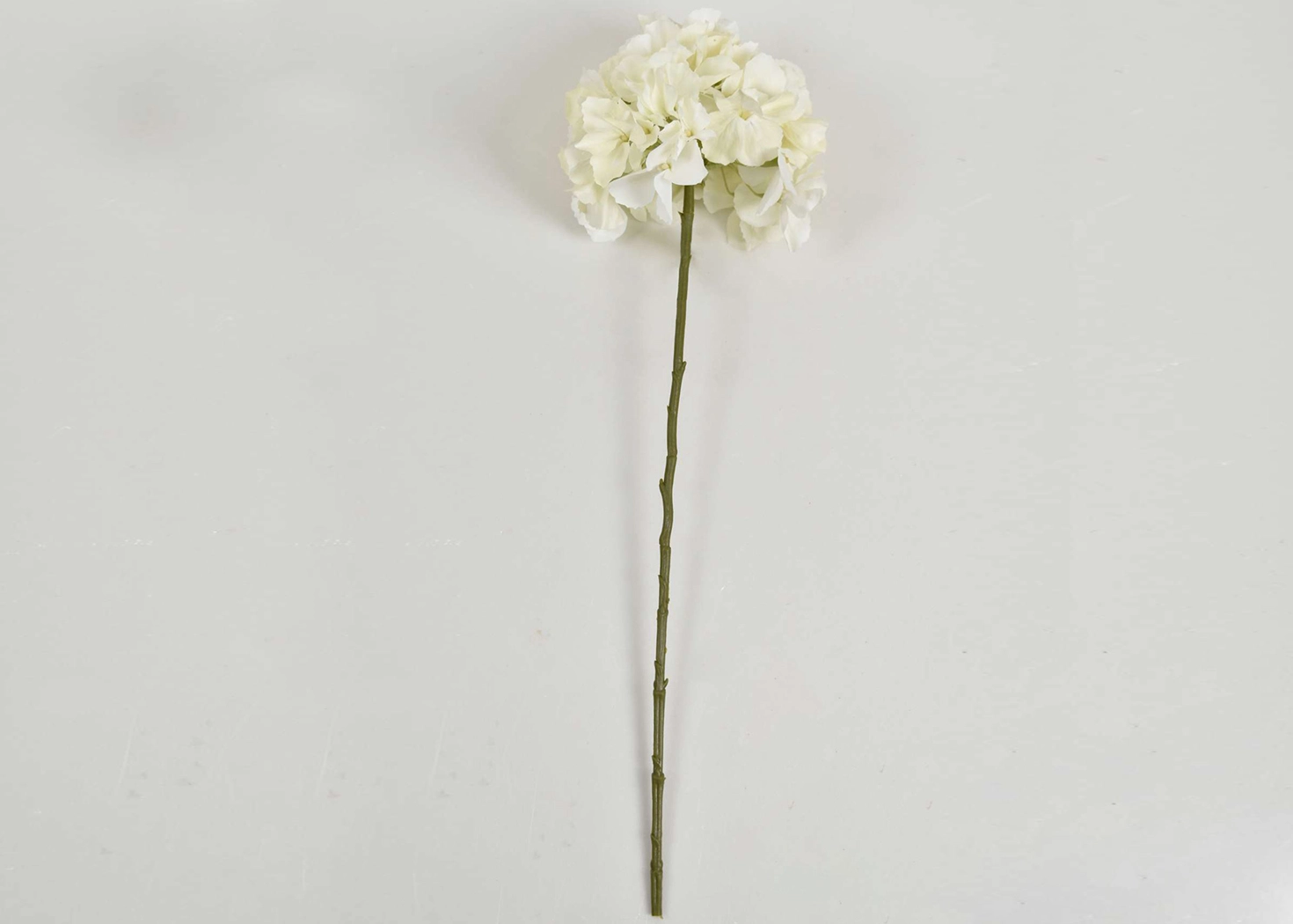 HYDRANGEA STEM- WHITE (PHDFLW22009)