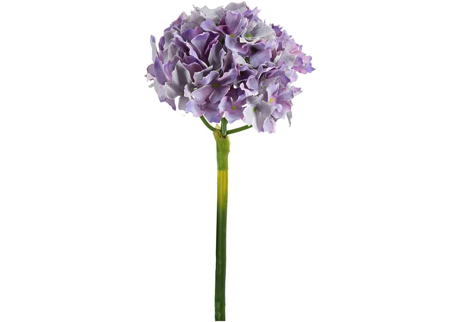 LAVENDAR HYDRANGEA PLANT (58148-LAVE)
