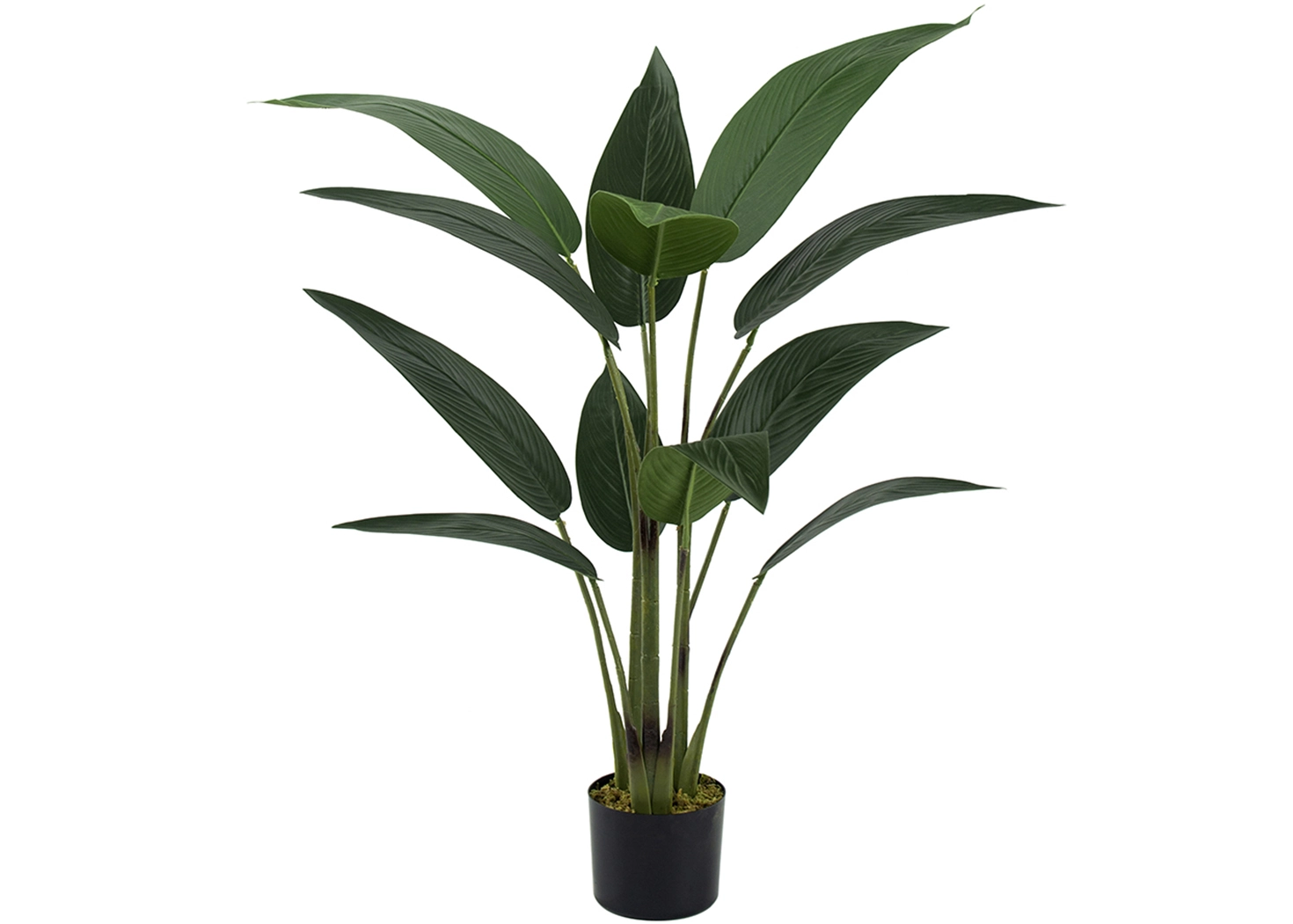 PARADISE PLANT POT (SA11850-DS-AB)