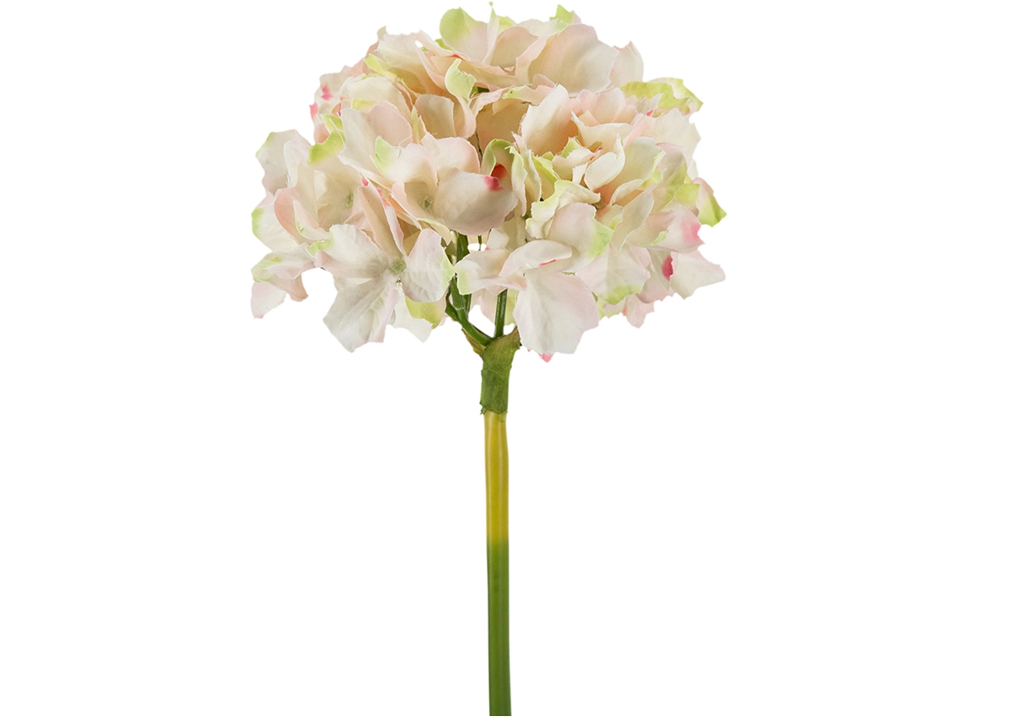 PINK TINGED HYDRANGEA (58148-MAUV)