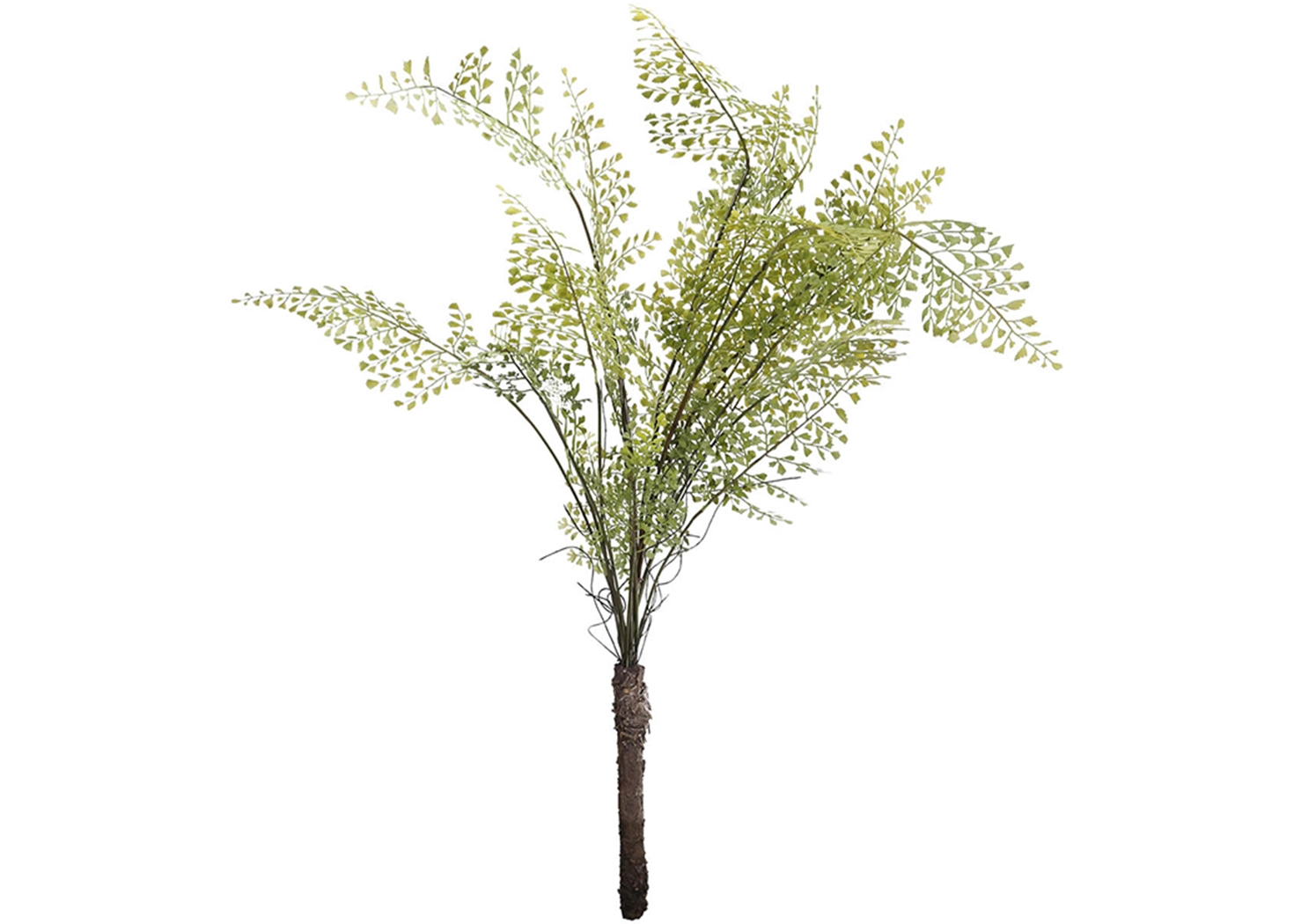 PLANT BUSH (1983)
