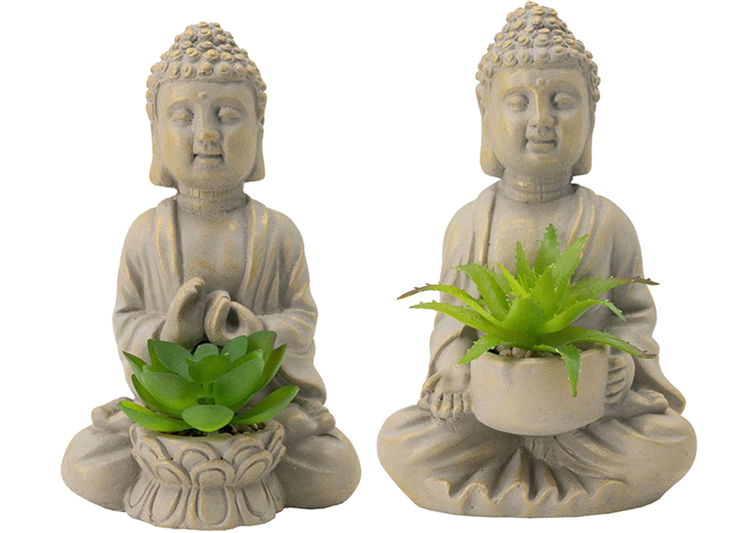 2 BUDDHA SUCCULENT (D9396)