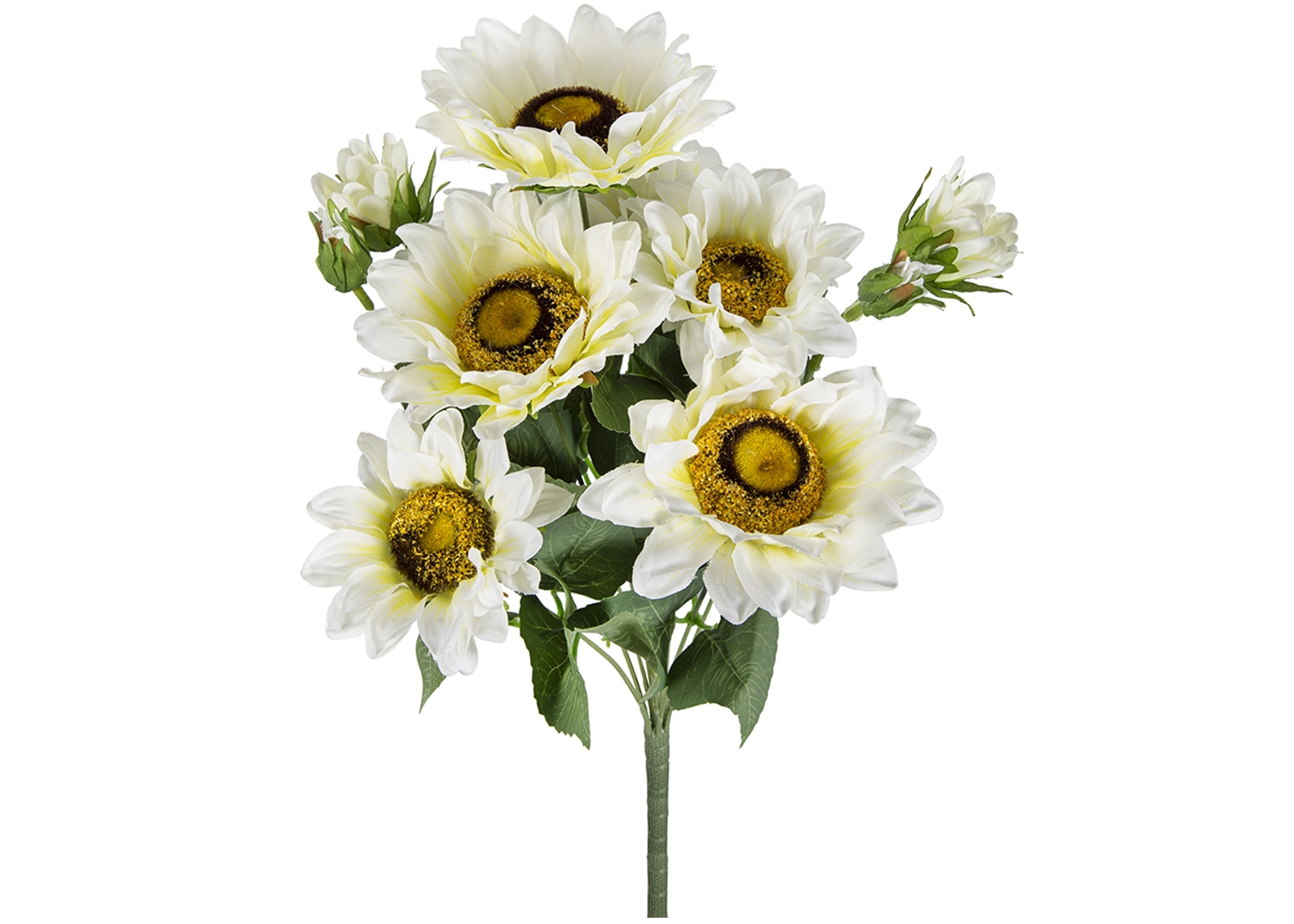 SUNFLOWER (SA21999-CREA)