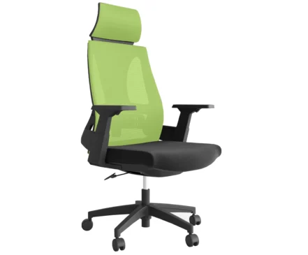 LAMA ORTHOPEDIC OFFICE CHAIR- GREEN/BLACK